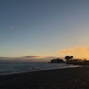 Meet your Posher, Faye